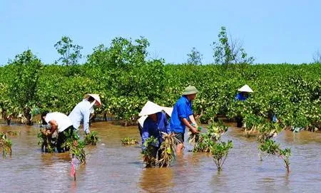 Việt Nam cam kết đóng góp cùng cộng đồng quốc tế ứng phó với biến đổi khí hậu toàn cầu  
