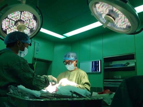 Phẫu thuật thành công cho bệnh nhận 104 tuổi