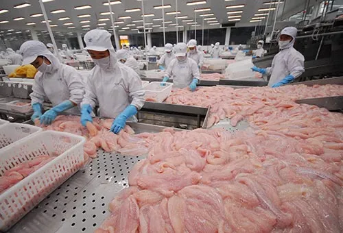 Doanh nghiệp TP Hồ Chí Minh nhắm đến thị trường Châu Mỹ La tinh