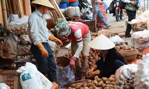 Người tiêu dùng cứu khoai tây Đà Lạt ?