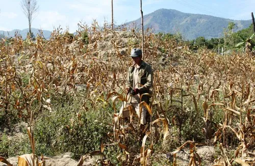 Cần cập nhật lại kịch bản cho biến đổi khí hậu