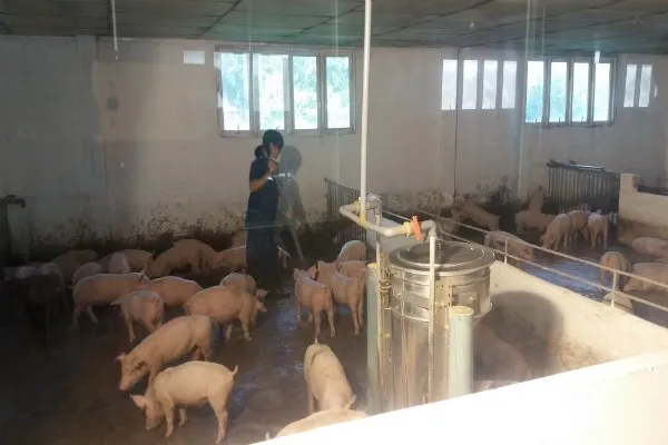 Hội nghị triển khai kiểm soát chất cấm trong chăn nuôi các tỉnh phía Nam