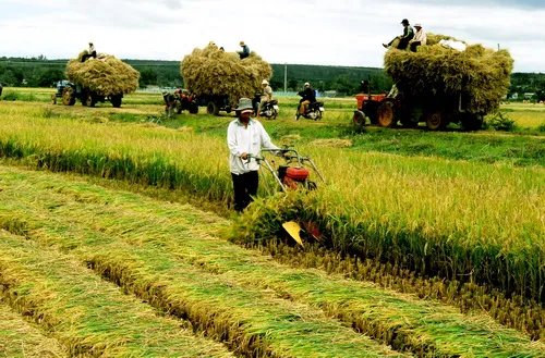 Nông nghiệp ứng phó TPP