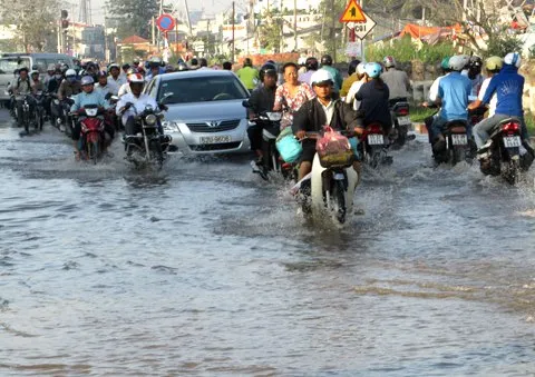 Chủ động ứng phó triều cường cuối tháng 11/2015