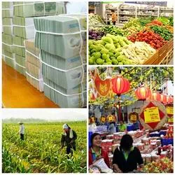 Tập trung nguồn hàng phục vụ nhân dân dịp cuối năm và Tết Nguyên đán