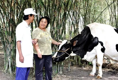 Công ty Vinamilk cam kết thu mua sữa nguyên liệu với giá không đổi 14.000 đồng/kg