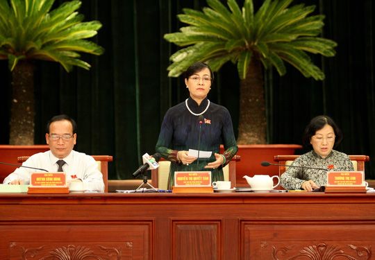 HĐND TP thảo luận tại Hội trường về các vấn đề kinh tế, văn hóa, xã hội