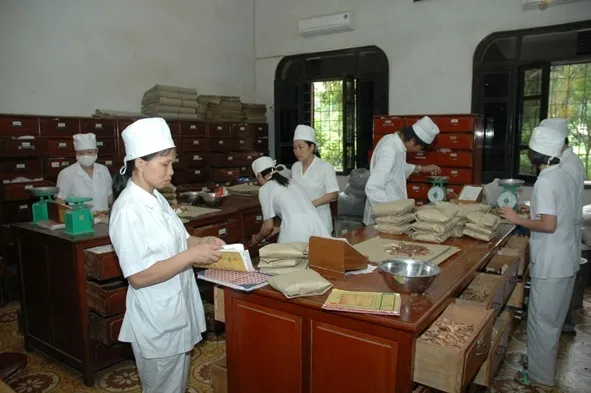 Việt Nam đào tạo y học cổ truyền cho các nước ASEAN