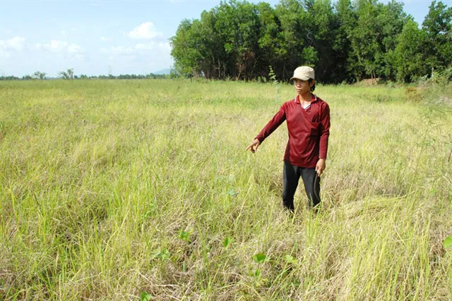 Lũ không về, nỗi lo mất mùa đè nặng nông dân