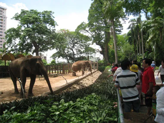 Thảo Cầm Viên Sài Gòn: 150 hình thành và phát triển