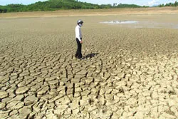 10 sự kiện môi trường nổi bật trong nước năm 2015