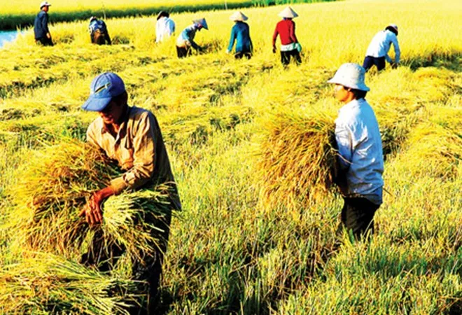 Năm 2016, chú trọng hoàn thiện cơ chế chính sách nông nghiệp