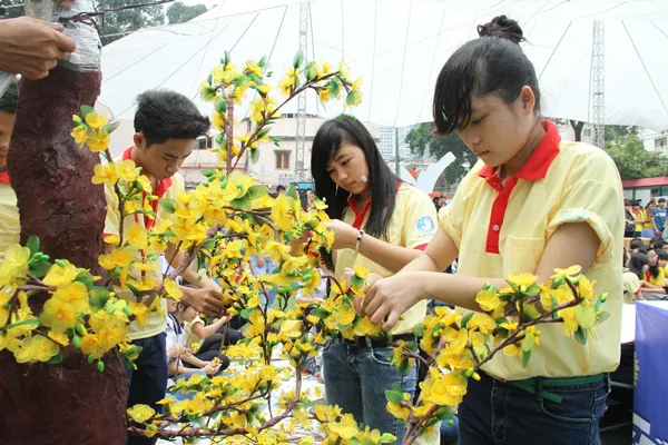 Thành Đoàn chăm lo Tết Nguyên đán Bính Thân - 2016