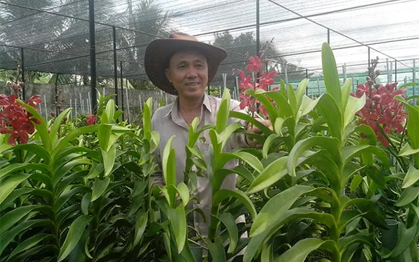 TPHCM : hơn 4.800 người cao tuổi làm kinh tế giỏi
