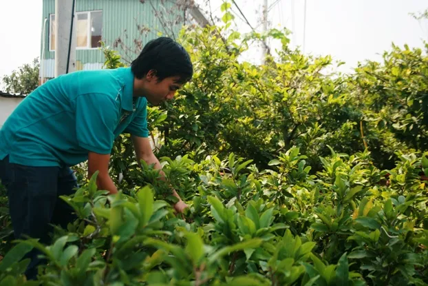 TPHCM: Hơn 27.000 hộ nông dân sản xuất kinh doanh giỏi