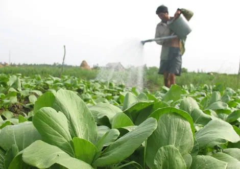 Công bố Diễn đàn Nông dân hợp tác sản xuất kinh doanh nông nghiệp