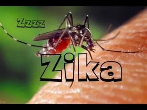 Bộ Y tế chỉ đạo tăng cường công tác giám sát bệnh do vi rút Zika