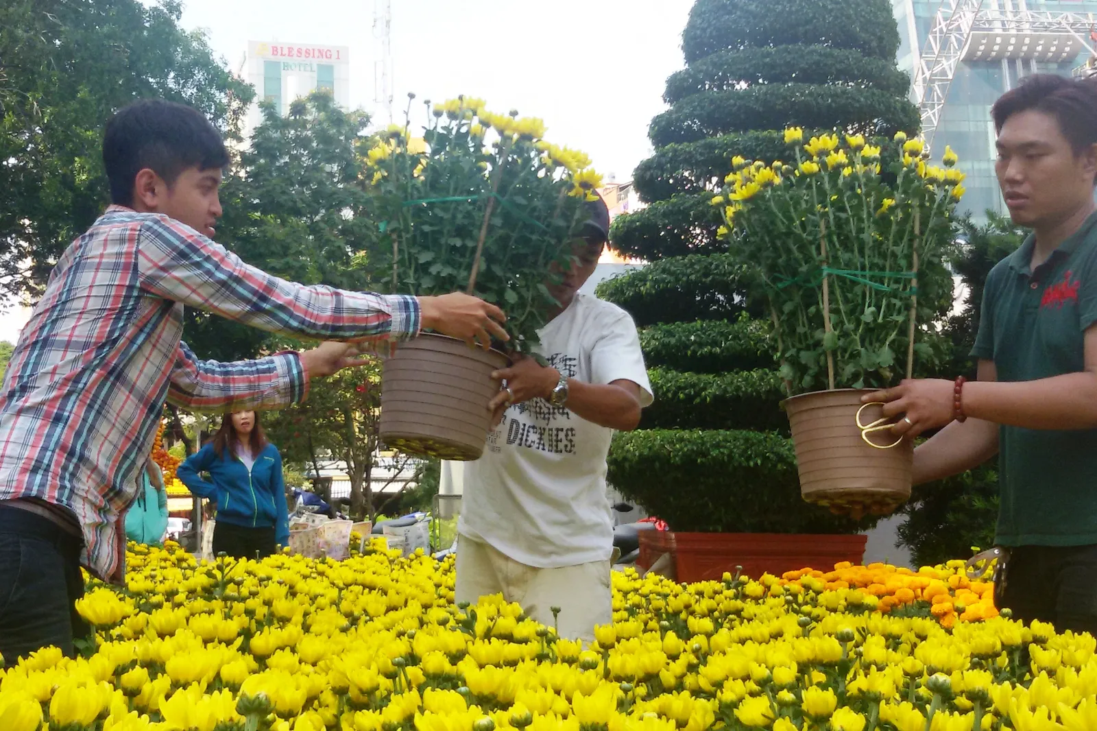 Khai trương chợ hoa tết: Khách mua ít, tiểu thương lo