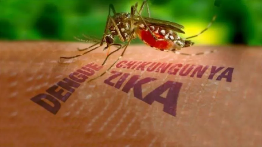Virus Zika trở thành mối đe dọa lớn của thế giới