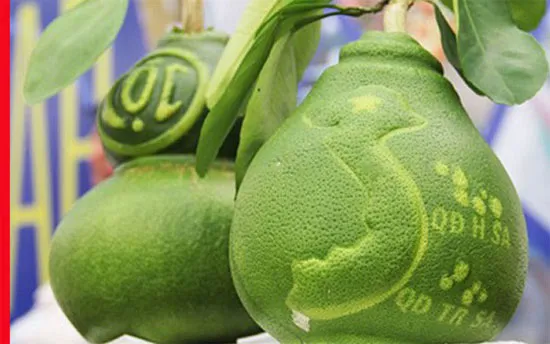 Hàng độc tung thị trường Tết Khỉ