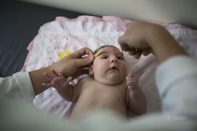 Cảnh báo nguy cơ xuất hiện virus Zika tại phía Nam