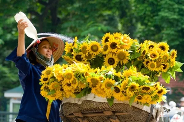 Thời tiết từ mùng 2 đến mùng 7 Tết Bính Thân 2016