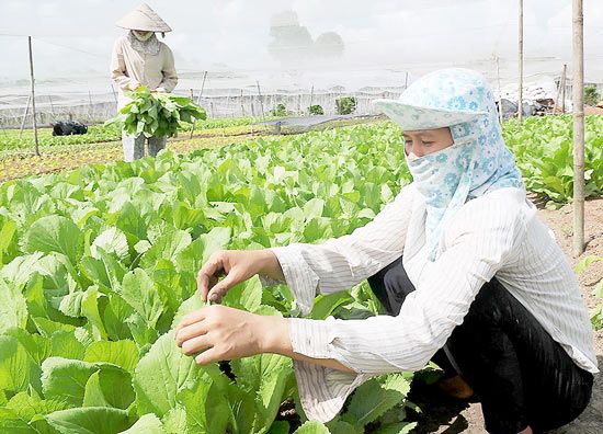 Lực đẩy từ nông thôn mới