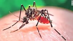 Virus Zika có thể xâm nhập vào Việt Nam