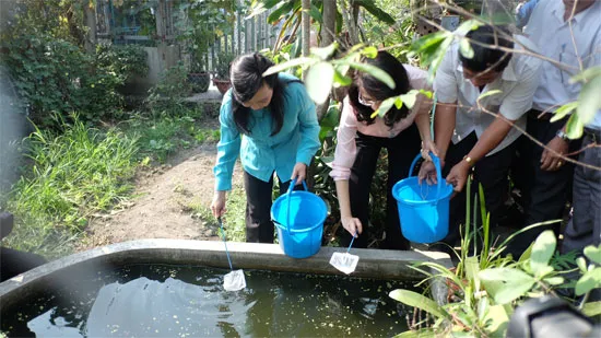 Tổng tấn công diệt muỗi, lăng quăng phòng chống bệnh do vi rút Zika và sốt xuất huyết