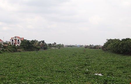 Cải tạo nhiều tuyến kênh rạch trên địa bàn quận 12