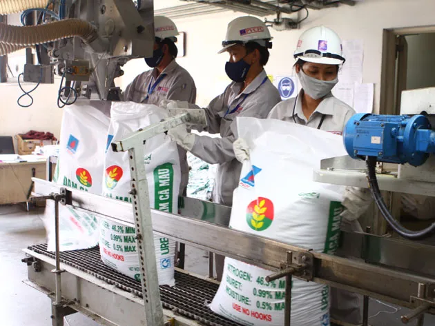 Vướng quy định, chỉ có 21 đơn vị được cấp phép sản xuất phân bón
