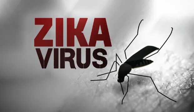 Bộ Y tế nâng mức cảnh báo phòng chống vi rút Zika