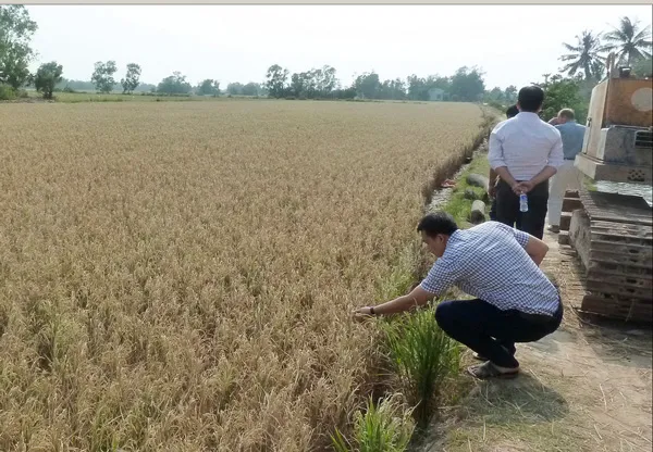Hoa Kỳ hỗ trợ khẩn cấp giúp Việt Nam đối phó với hạn hán và xâm nhập mặn lịch sử