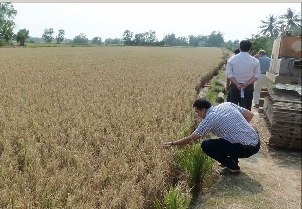 Hoa Kỳ hỗ trợ khẩn cấp giúp Việt Nam đối phó với hạn hán và xâm nhập mặn lịch sử