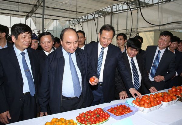 Ngày 29/4, Thủ tướng đối thoại với doanh nghiệp