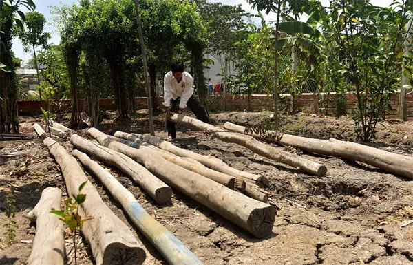Công an TPHCM chỉ đạo rút đề nghị truy tố người dựng chòi vịt