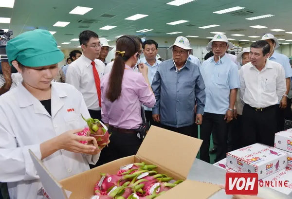 Đoàn đại biểu cấp cao Đảng và Nhà nước Lào thăm Khu Nông nghiệp công nghệ cao thành phố