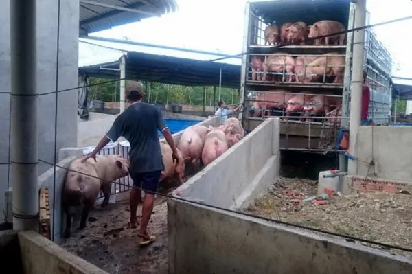 Đừng mất cảnh giác