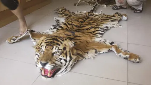 Ứng dụng mới giúp chống nạn buôn bán động vật hoang dã