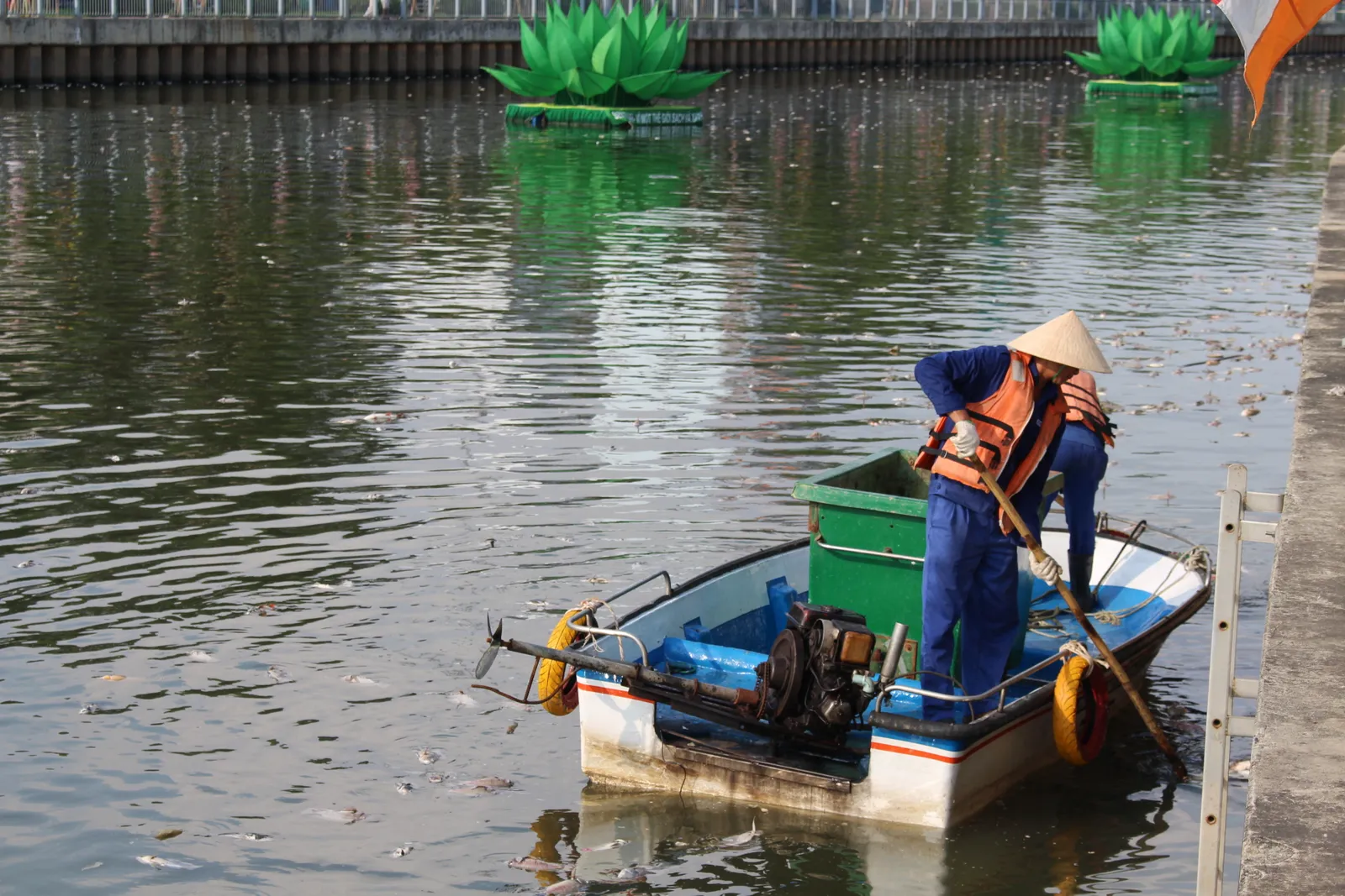 Cá chết trắng trên kênh Nhiêu Lộc: Chuyên gia nói gì?
