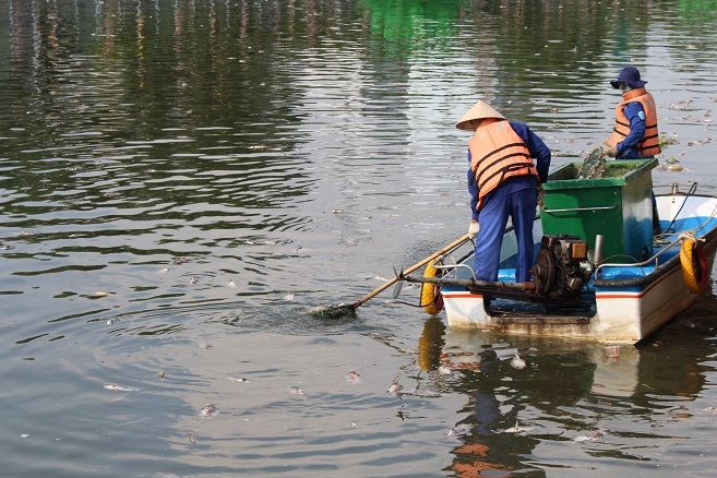 Cá chết trên kênh Nhiêu Lộc – Thị Nghè do ô nhiễm cục bộ