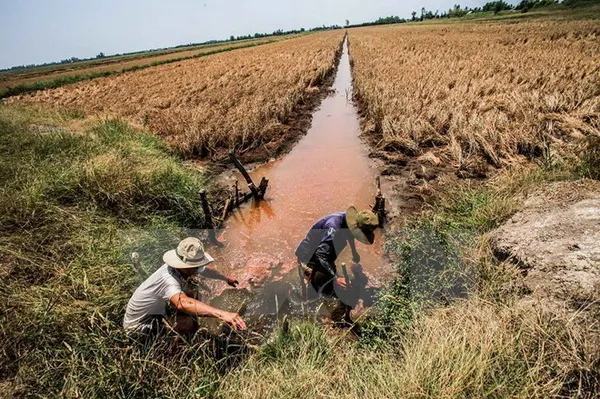 Điểm tin 24 giờ - 18/5/2016: Cứu trợ khẩn 4 tỷ đồng cho người dân vùng hạn, xâm nhập mặn