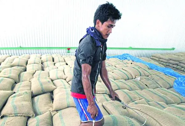 Thái Lan: Giá gạo tăng cao