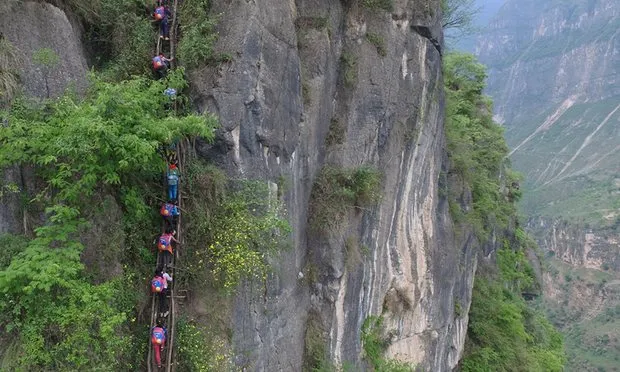 Trung Quốc: Trẻ em leo vách đá cao 800m để đến trường