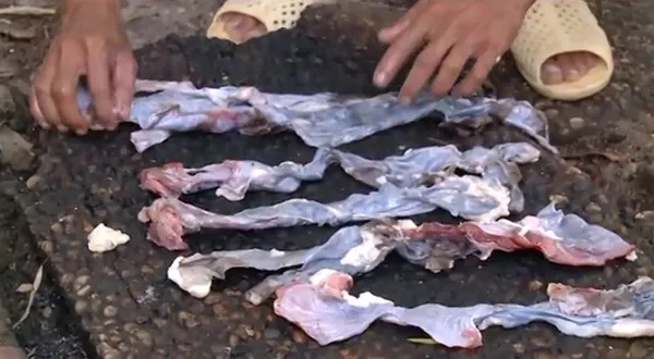 [Video] TPHCM: Phát hiện cơ sở biến thịt heo thành thịt đà điểu, nai