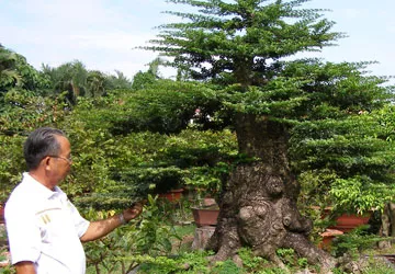 Nền tảng nông nghiệp đô thị là chính sách