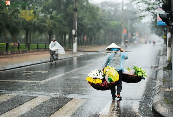 Áp thấp nhiệt đới tiếp tục gây mưa trên diện rộng