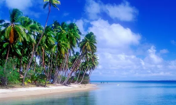 Đảo quốc Fiji: Liên tục phát hiện bộ phận cơ thể người trên bãi biển