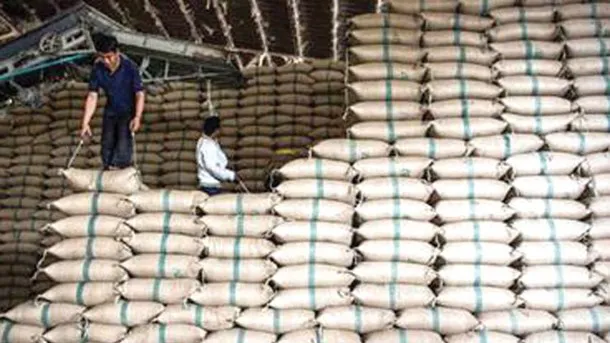 Thái Lan: Đấu giá 3,7 triệu tấn gạo trong tháng 7