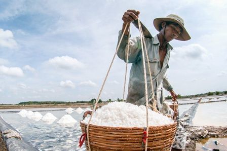 Tìm đâu đầu ra cho sản xuất muối trong nước?